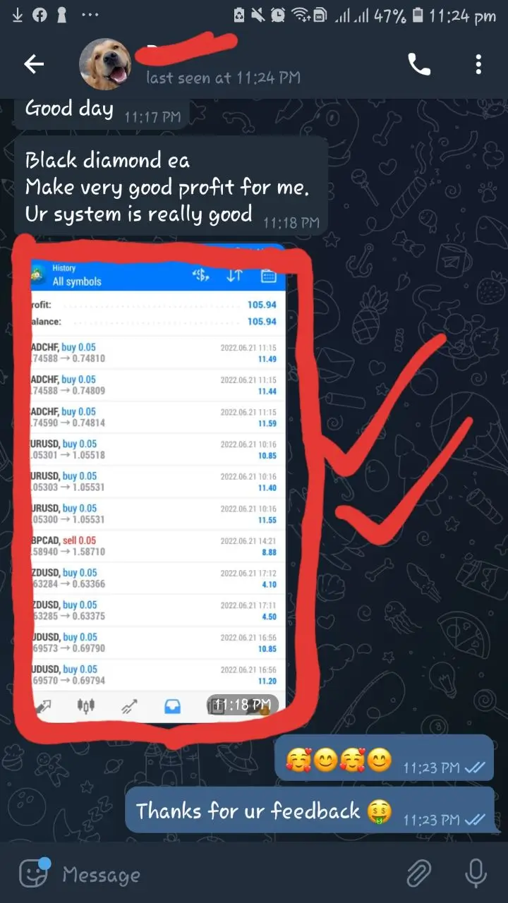 Blackdiamondea Client Feedback 12